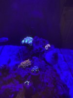 IMG_7028.JPG