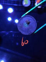 20210120_151636.jpg