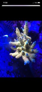 4A71B3BA-6D52-4DB2-9607-E109D392C35E.jpg