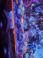 20210125_153319.jpg