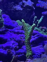 2EF993B3-C092-4BBB-9926-55AC584E3E6F.jpeg