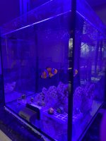 IMG_1751.jpeg