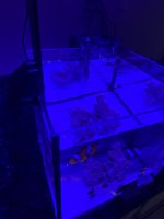 IMG_1754.jpeg