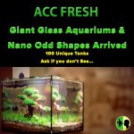 glass tanks arrived.jpg