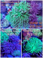 CollageMaker_20210129_124745200_compress43.jpg
