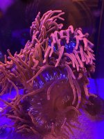 75A5372F-DDA6-4BC4-B8BC-13E0711FF8CE.jpeg