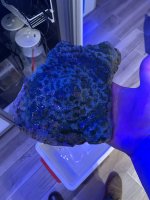 FF3D1216-D16E-458A-8DD0-99221157E240.jpeg