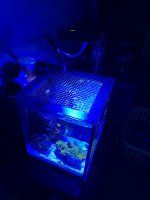 00992994-2C02-4C6C-9663-F513ABDF325E.jpeg