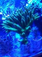 20210211_204744.jpg