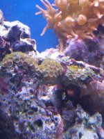 20201230_155941.jpg