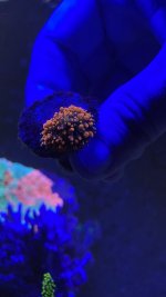 84836E35-510B-4CF8-9C14-7C87D6FC2D2E.jpeg