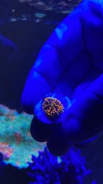 6BEB1C2D-3312-4BA0-8E93-168C0F764CCA.jpeg