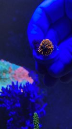 5300A0D3-0901-4A52-BCE5-11600EB0FD0D.jpeg