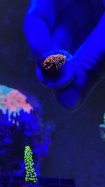 B1282B6F-DCEF-4298-A64F-F05243A0C537.jpeg