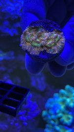 074DE08D-9CB5-4125-A609-050BEC2394F4.jpeg