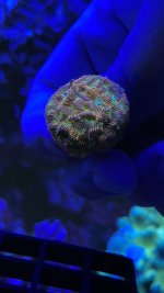 39D10387-BF57-4329-B388-78FBCBE1CF2C.jpeg