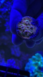 8E6C5DB2-B467-4B88-9156-26019E78CCF2.jpeg