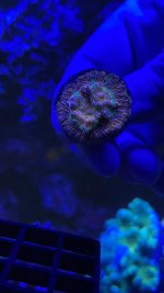 3A8C60D1-F8FA-4362-855B-517D40FA483B.jpeg