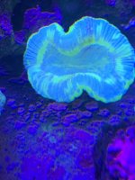 430F173C-155D-4C16-94F7-B876E1DD430A.jpeg