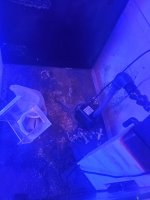 20210213_162447.jpg