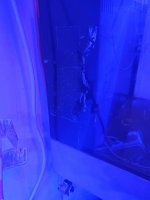 20210213_162459.jpg