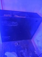 20210213_162453.jpg