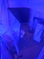 20210213_162506.jpg