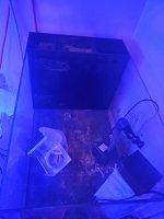 20210213_162515.jpg