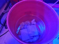20210213_174735.jpg