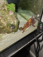 20201213_232732.jpg