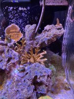 CB611D9B-27CC-470A-B9CA-DDB3F78BCE7B.jpeg