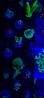 20210220_144538.jpg