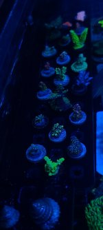 20210220_143509.jpg