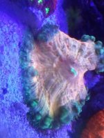 0219211114c.jpg
