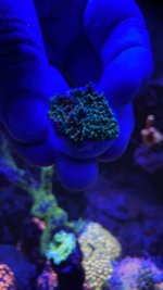 A8E0BBF9-141C-432E-BD62-099D68239AB9.jpeg