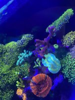 59DCEEDB-C866-4E62-BCC1-F30DBCBC9AC8.jpeg