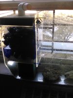 IMG_20210226_072913.jpg