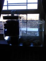 IMG_20210226_072901.jpg