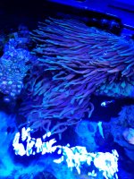 20210226_150720_resized_3.jpg