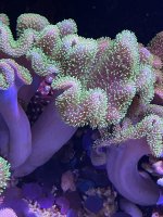 16422CD1-C40C-457C-B4B6-6F3FD5B3D3E5.jpeg