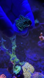 271BE48E-C662-492F-AA55-C304B0241981.jpeg