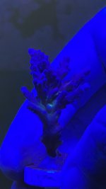 9DDD5036-4245-4AF8-BC0B-1DAF0E7D7198.jpeg