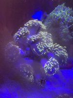 8BECF263-FD11-4053-A034-06D8754FBC30.jpeg
