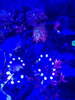 IMG_3493.jpg