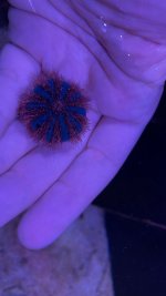 1711456B-A945-4D98-B280-B1BD908E99D5.jpeg