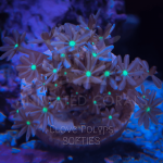 936A25AB-CA9E-4A76-86E0-D1A6C5C44A7D.png