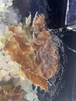 E1184127-76AD-45ED-A22B-AD99CE56E7F6.jpeg