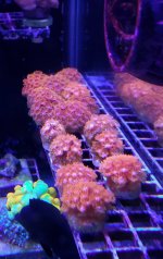 20210314_161144-01.jpeg