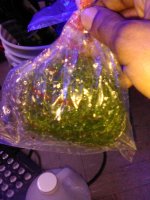 IMG_20210319_234701.jpg