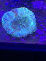 13AA57AD-CF0C-491C-890E-99E5D17DFC35.jpeg